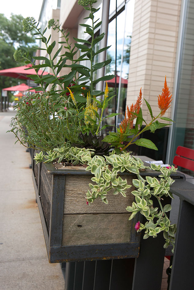 Hanging Planters for North, restaurant in Cherry Creek, Denver